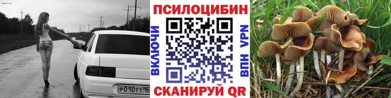 где продают   Белозерск  Галлюциногенные грибы Magic Shrooms 